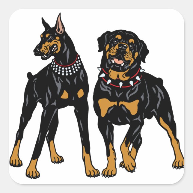 ruttna och doberman fyrkantigt klistermärke (Framsida)