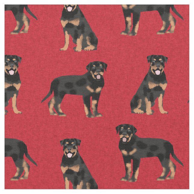 ruttweiler-hund tyg (Närbild)