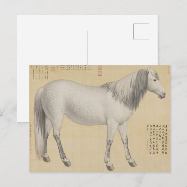 Ruyi cong ("As-you-Wish" Piebald) Fine Art Vykort (Fram/baksida)
