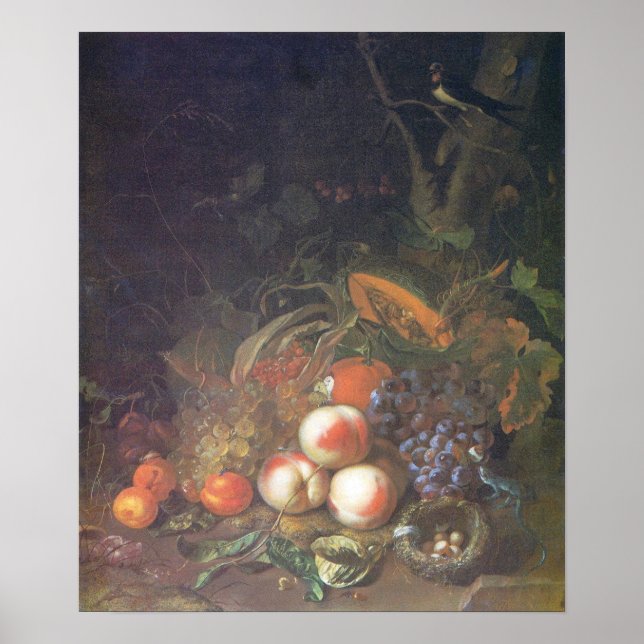 Ruysch - frukt, liv med fåglars bo poster (Framsidan)