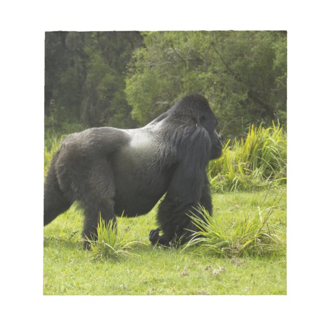 Rwanda, nationalparken Volcanoes Anteckningsblock (Framsida)