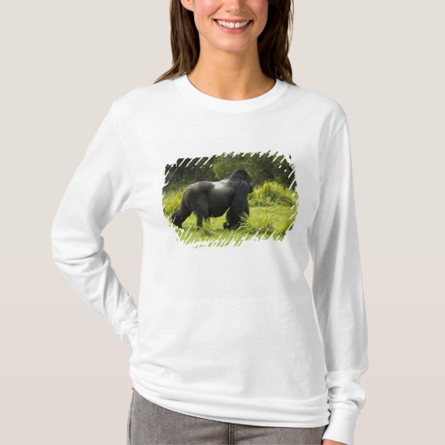 Rwanda, nationalparken Volcanoes T-shirt (Framsida)