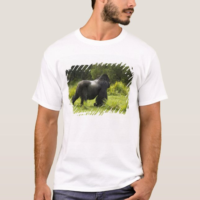 Rwanda, nationalparken Volcanoes Tee (Framsida)