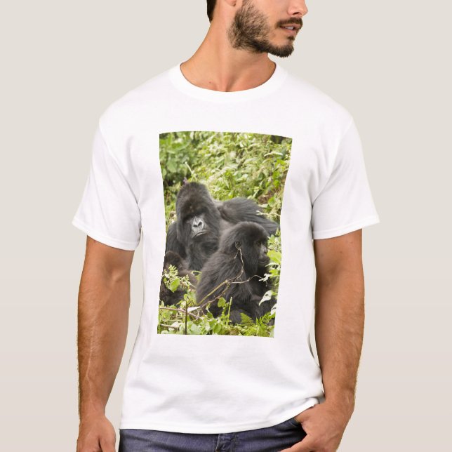 Rwanda, Vulkanernas nationalpark Tee Shirt (Framsida)