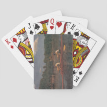 Rwing Boat Tävling vid floden