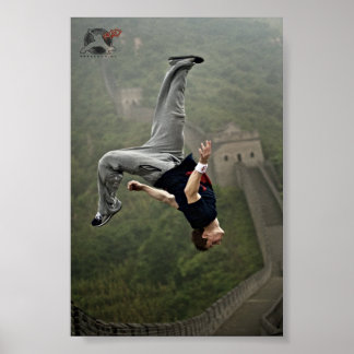 Ryan Doyle Poster - Underbar Wall China