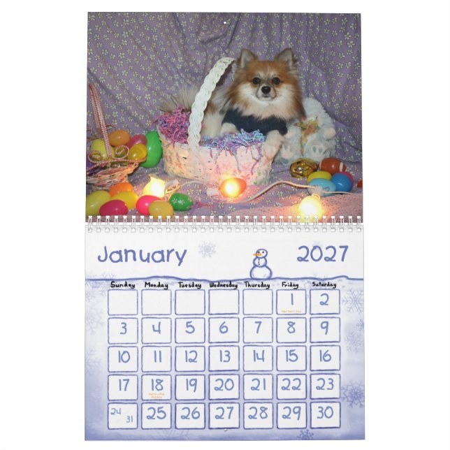 Ryder i pom-kalendern kalender (Jan 2027)