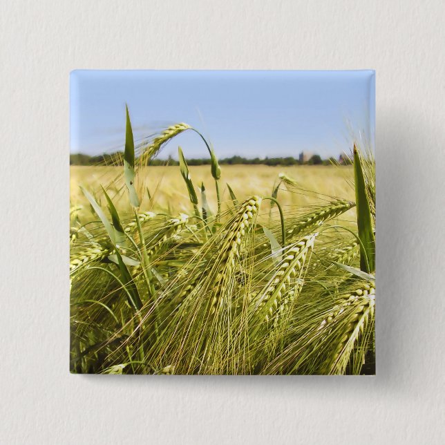 Rye Knapp (Framsida)