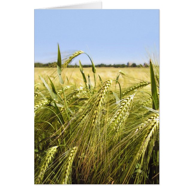 Rye OBS Kort (Framsidan)