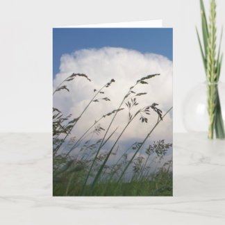 "Rye och himmel" fotokort Kort