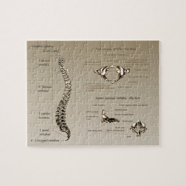 Rygg Pussel (Horisontell)