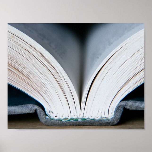 Ryggrad bok (poster) poster (Framsidan)