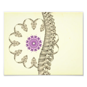 Ryggrads- anatomikonstverkChiropractic Fototryck