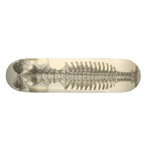Ryggrads- kolonn mini skateboard bräda 18,7 cm