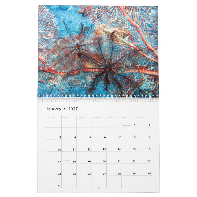 ryggradslösa djur i kalendern Fiji 2020 Kalender (Jan 2027)