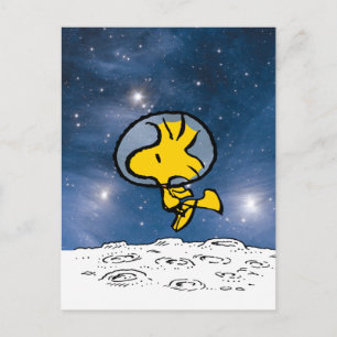 RYMD   Woodstock Astronaut Vykort