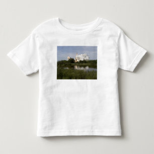 Rymdfärjasträvanhissar av 6 tee shirt