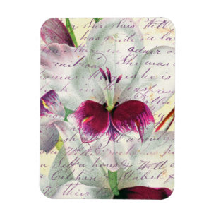 Rymdiolus art calligraphy collage magnet