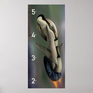 Rymdskepp Tillväxtdiagram Poster