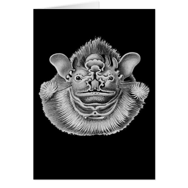 Rynka-vänd mot fladdermöss hälsningskort (Framsidan)