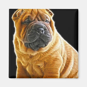 Rynkar den kinesiska Shar Pei valphunden Magnet