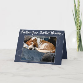 Rynkig Bassethund på gulligt födelsedagkort Kort