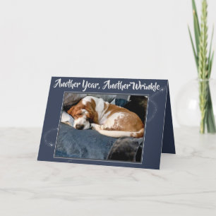 Rynkig Bassethund på gulligt födelsedagkort Kort