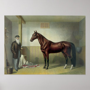 Rysdyk's Hambletonic - 1876 Poster