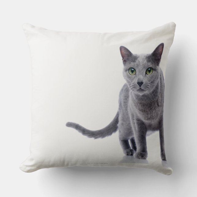 Rysk blå katt kudde (Framsida)