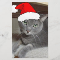 Rysk blå kattjul