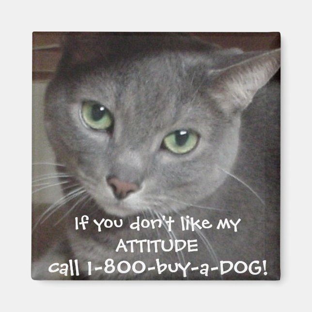 Rysk blågrå kattattityd humor magnet (Framsidan)