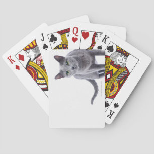 Rysk blåttkatt spel kort