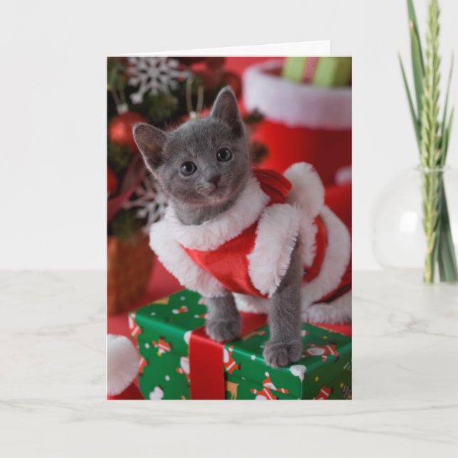 Rysk blåttkattunge och jul 2 helgkort (Framsida)