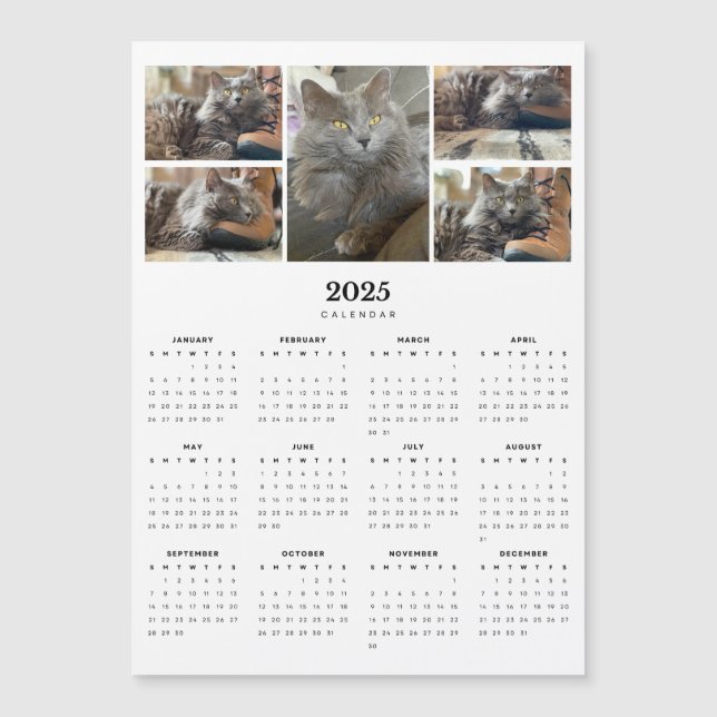 Rysk Blue Nebelung Cat Magnetic 2025 Calendar (Framsida)