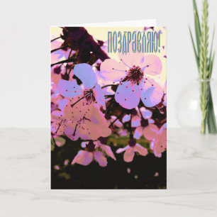Rysk gratulationskort med körsbärsblommor kort