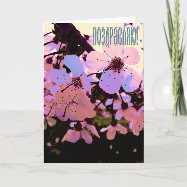 Rysk gratulationskort med körsbärsblommor kort (Framsida)