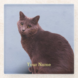 Rysk tittar blåttkatt