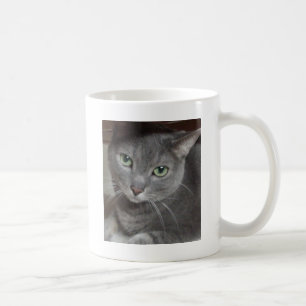 Ryska blå Grått-katt Kaffemugg