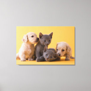Ryska blå kittens & Dachshund Puppies Canvastryck