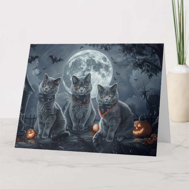 Ryska blåa katter Halloween kuslig Kort (Framsida)