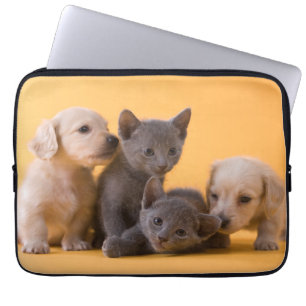 Ryska blåttkattungar & taxvalpar laptop sleeve