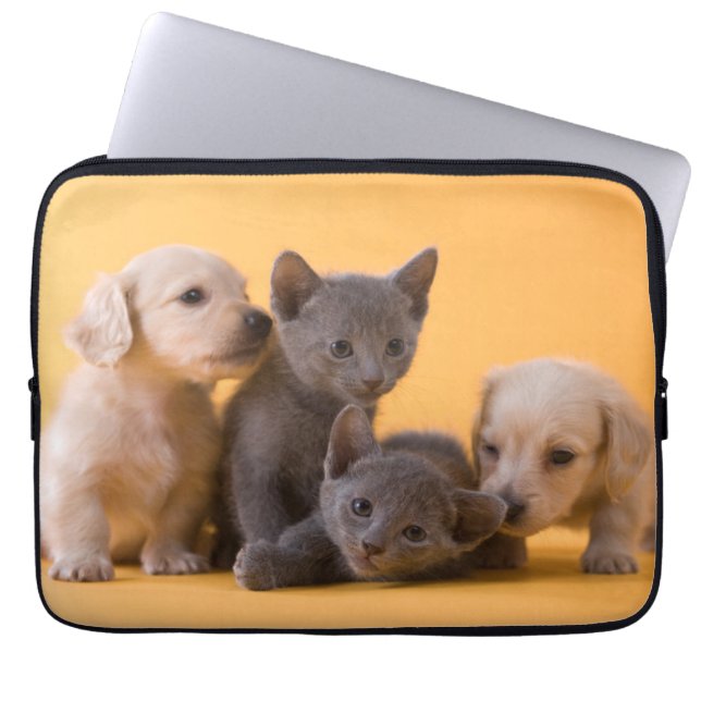 Ryska blåttkattungar & taxvalpar laptop sleeve (Framsidan)