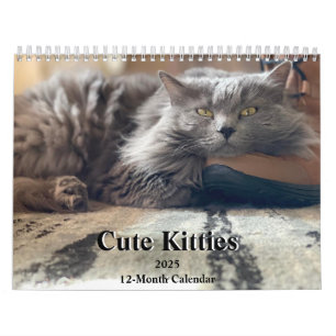 ryska Blue and Ginger Orange Tabby katt 2025 Kalender