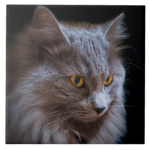 ryska Blue Grått Nebelung Cat Wall Art Kakelplatta