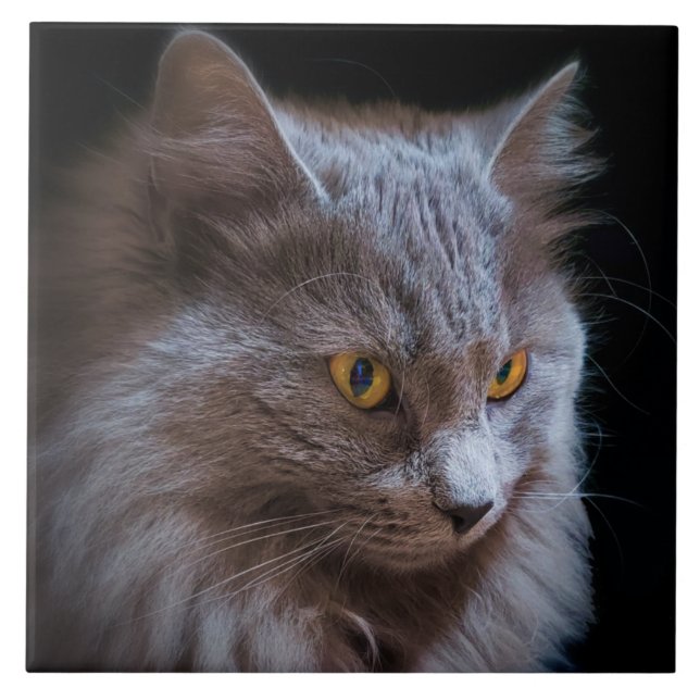 ryska Blue Grått Nebelung Cat Wall Art Kakelplatta (Framsidan)