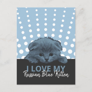 Ryska Blue Kitten Vykort