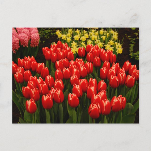 Ryska Romantik Vykort (Framsida)