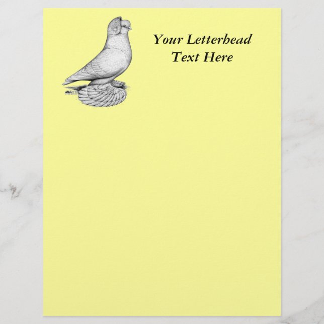 ryska Tumbler Pigeon (Framsida)