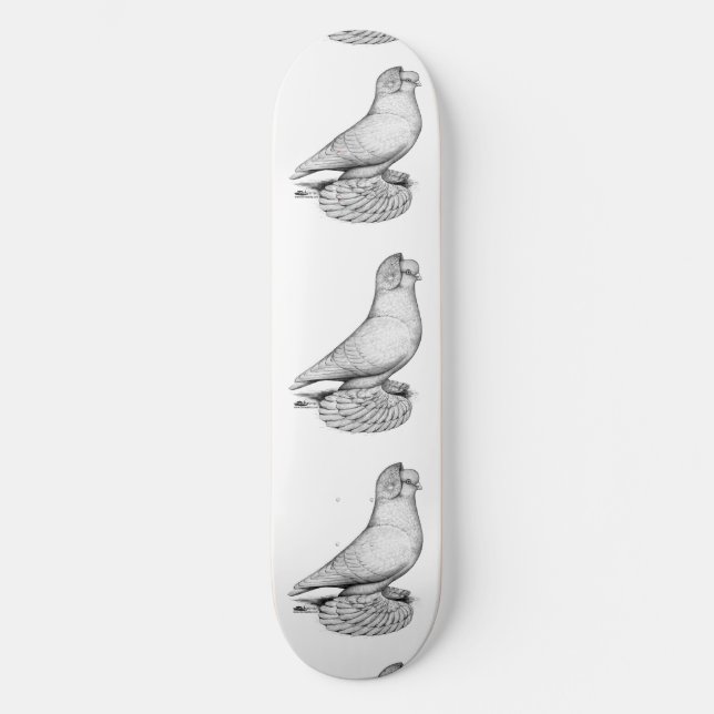 ryska Tumbler Pigeon Skateboard Bräda 19,5 Cm (Framsida)