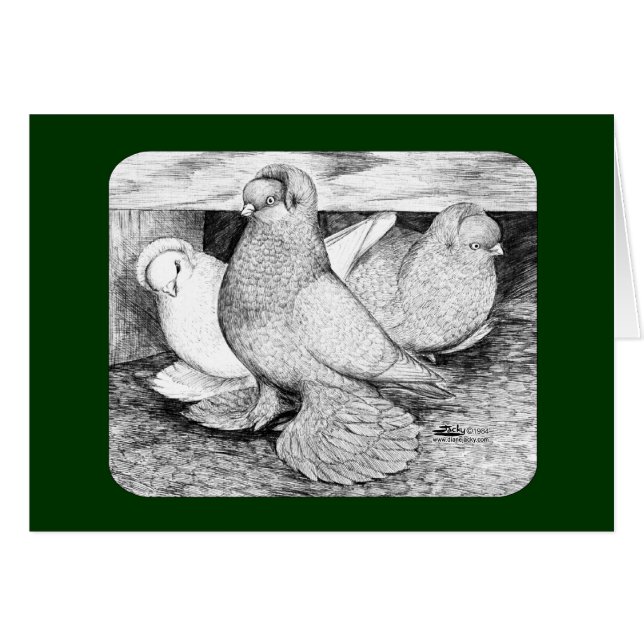 ryska Tumbler Pigeons 1984 OBS Kort (Framsidan Horizontal)